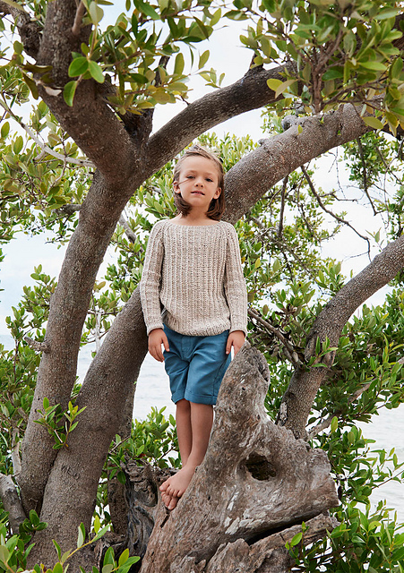 2006-06 Raglan sweater