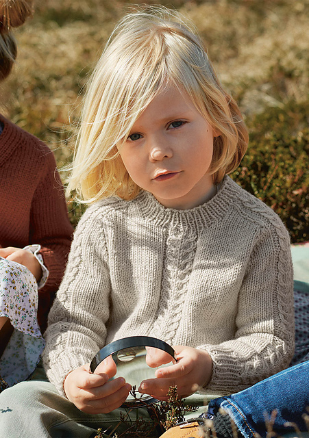 2009-01 Sander sweater
