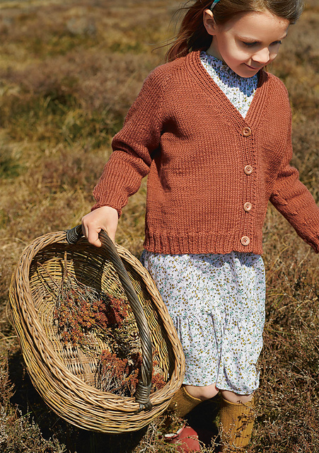 2009-07 V-neck cardi