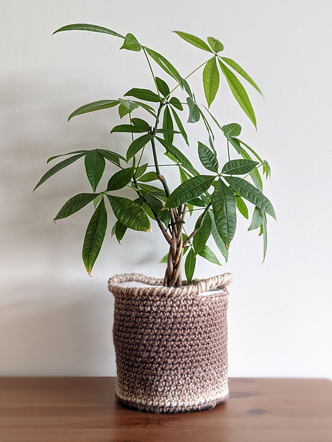 Easy Ombre Basket Planter