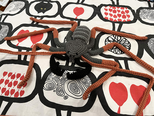 Arizona Tailless Whip Scorpion