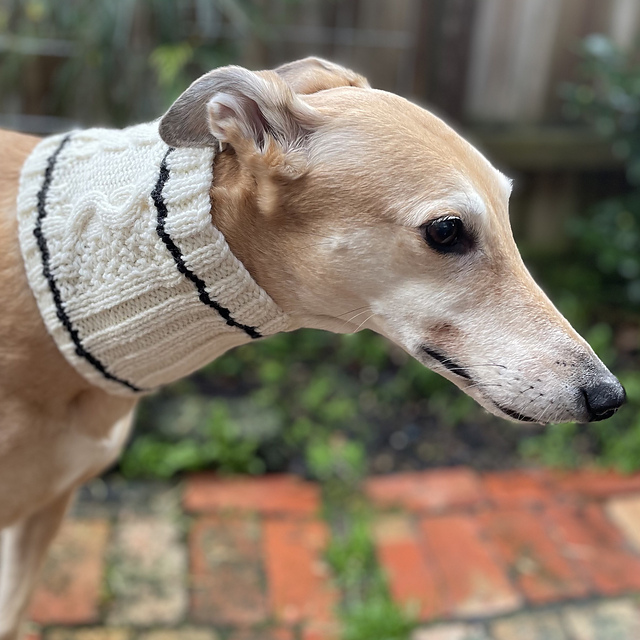 Candy's Choice - A neckwarmer for greyhounds