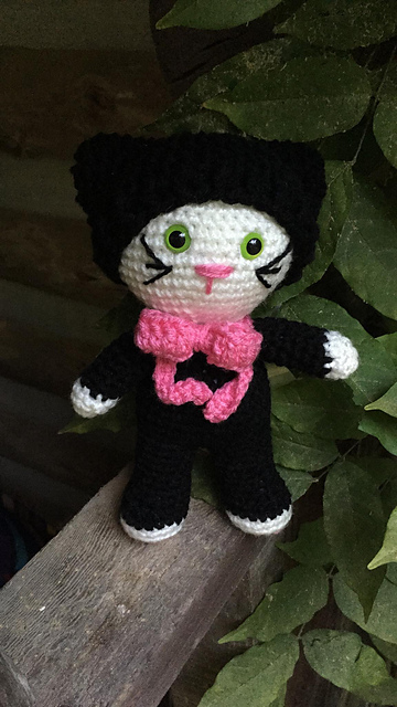 Puddin Cat