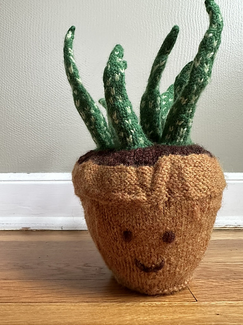 aloe friend