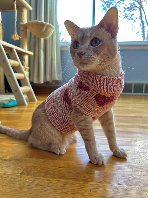 love and kisses sweater