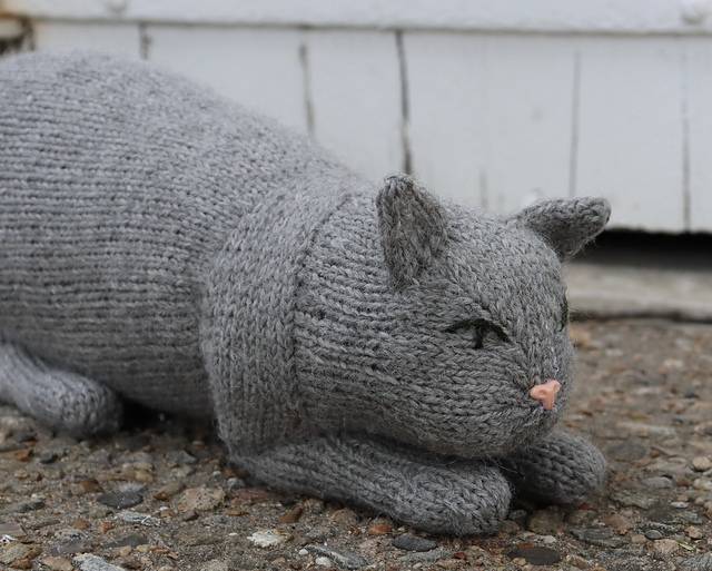 The Carriage House Cat