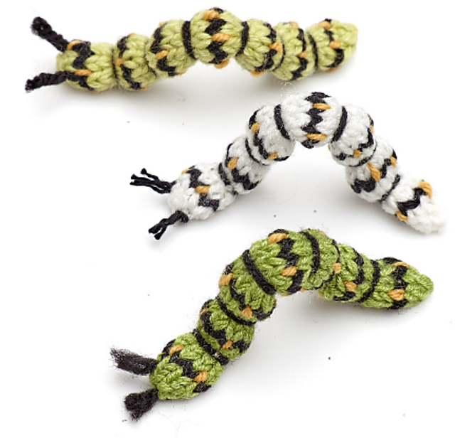 Caterpillar Crazy