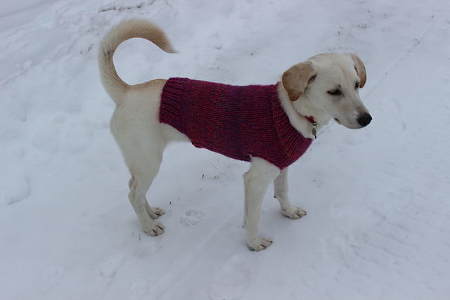 Sophie's Warm Winter Sweater