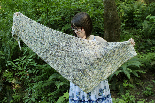 Willamette Daisy Shawl