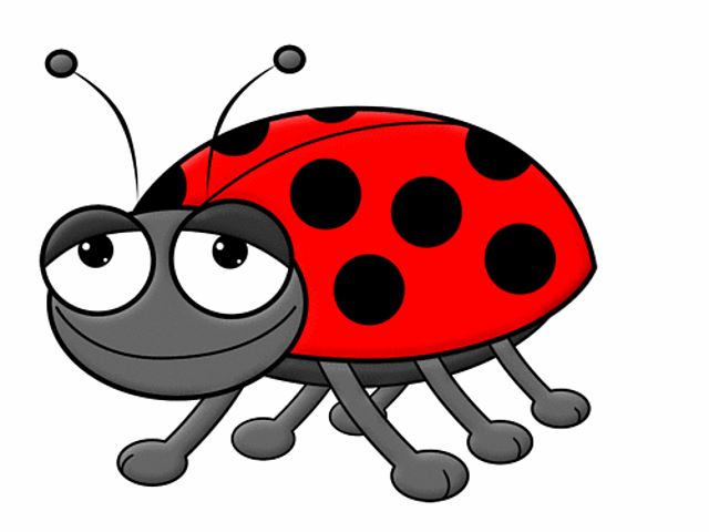 Lady Bug Graph