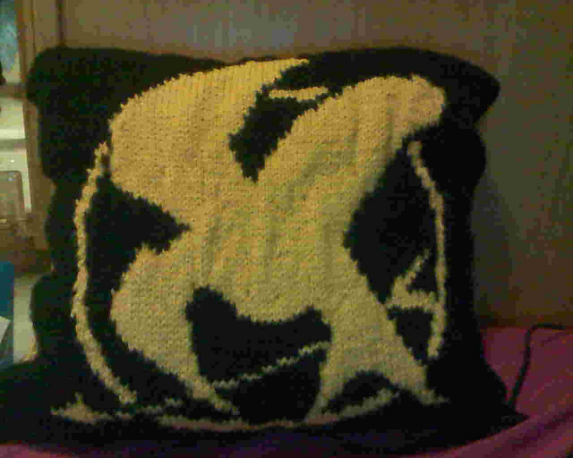 Hunger Games Pillow/Chart