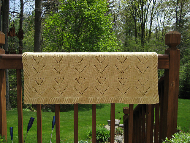 Tulip Festival Throw