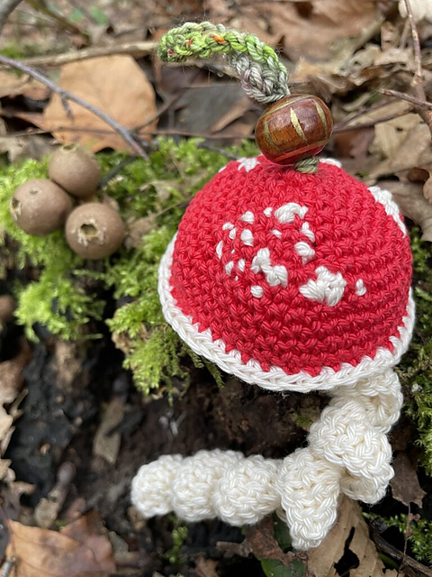 Fliegenpilz Glückswürmchen
