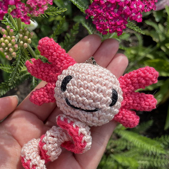 Axolotl – das kleine Wunder!