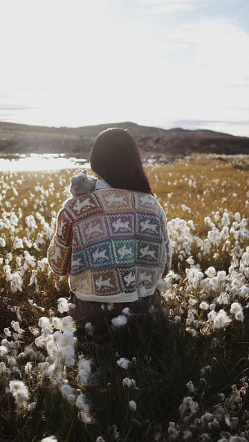 saskie pullover / tee