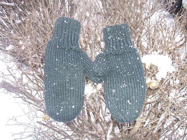 Hipcat Mittens
