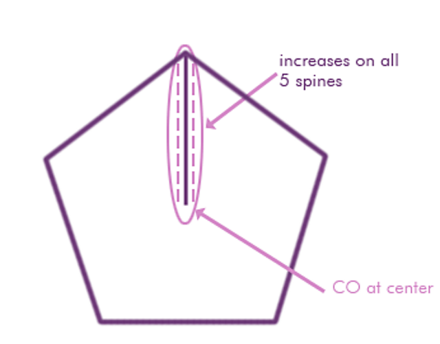 Center out pentagon/hexagon w/straight spines