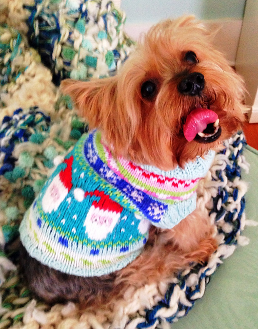 Santa Baby Dog Sweater