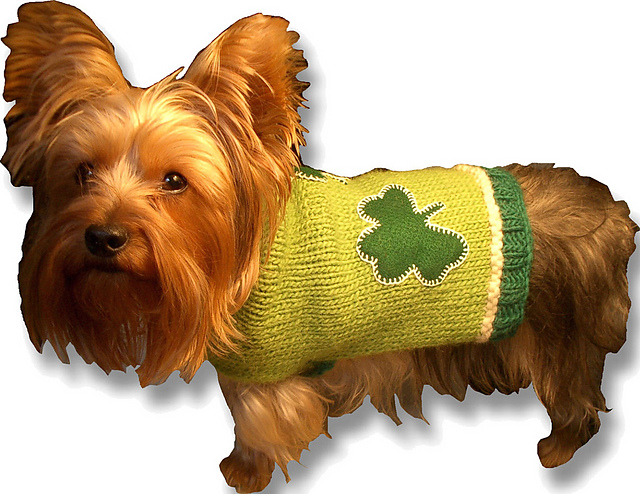 Shamrockin' Dog Sweater