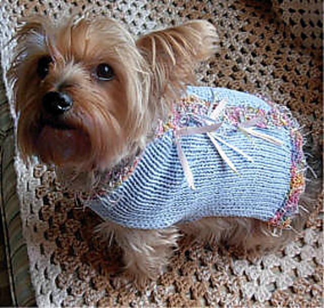 Party Animal Dog Sweater