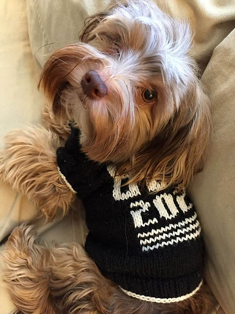 BETO 2020