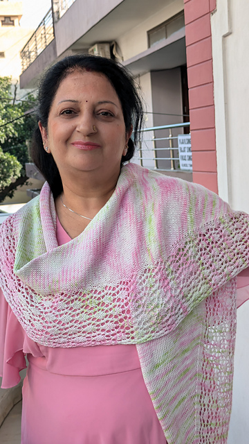 Pallav Scarf