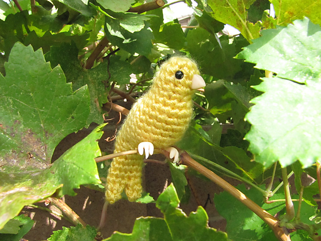 Canary or Songbird Amigurumi
