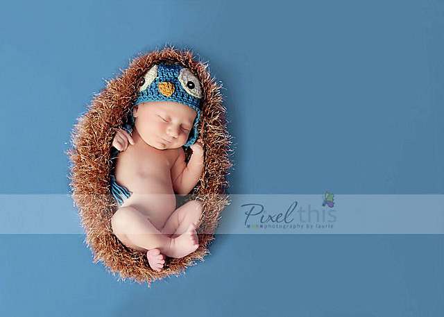 Furry Bowl Photography Prop