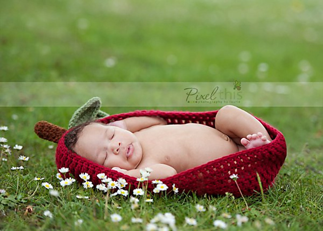 Apple Basket
