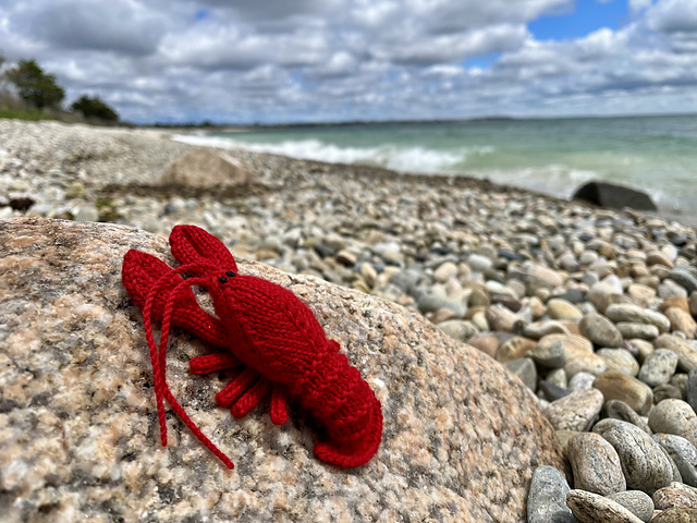 Salty Vibes Lobster