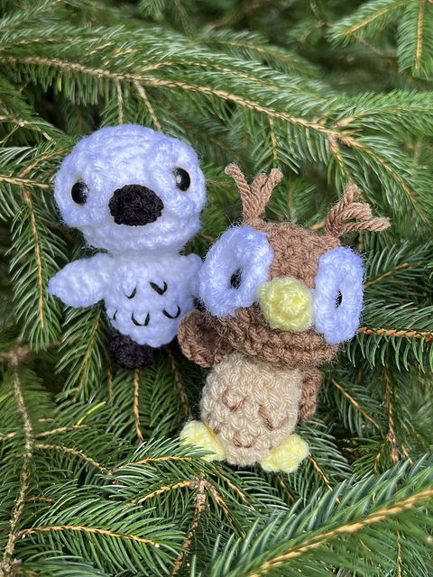 Knotty The Owl