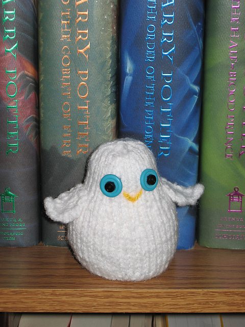 Baby Owl