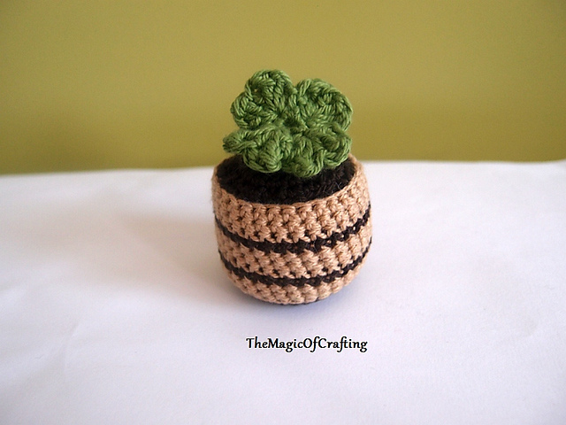 Clover In Pot