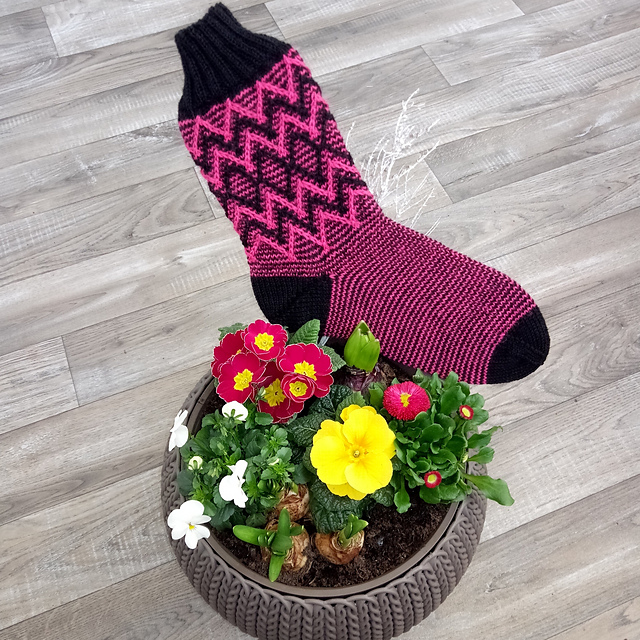 Sock Pink Lady