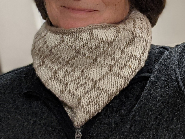 Winding Flowers Cowl