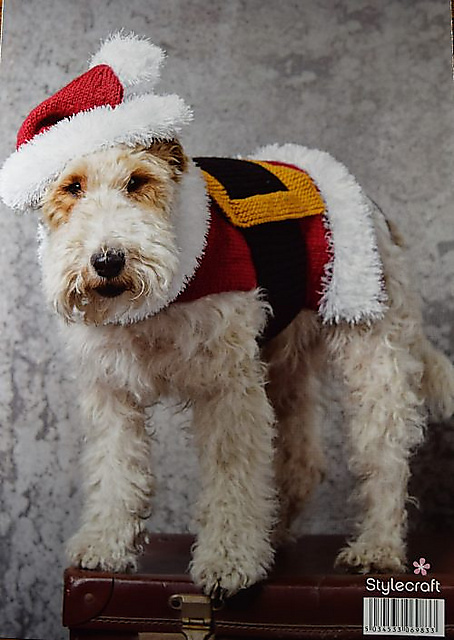 Santa Dog Coat & Hat