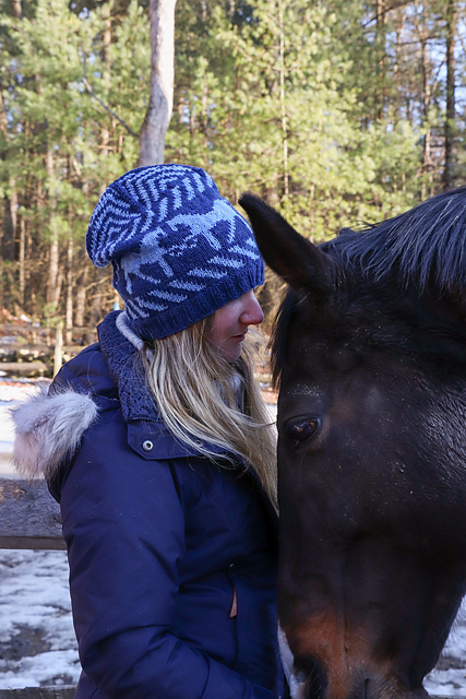 Horse Hat