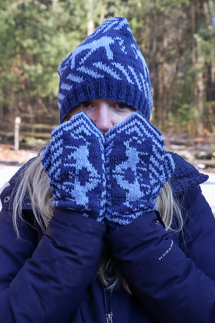 Horse Mittens