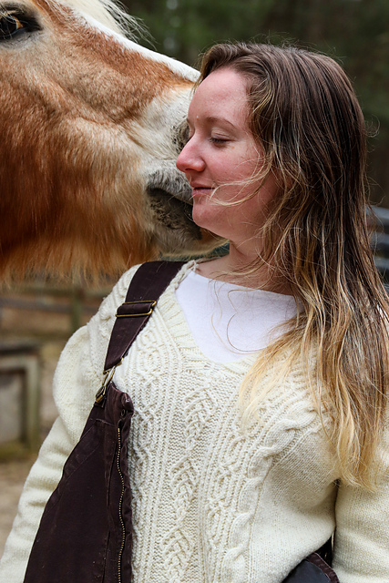 Bavarian Sweater