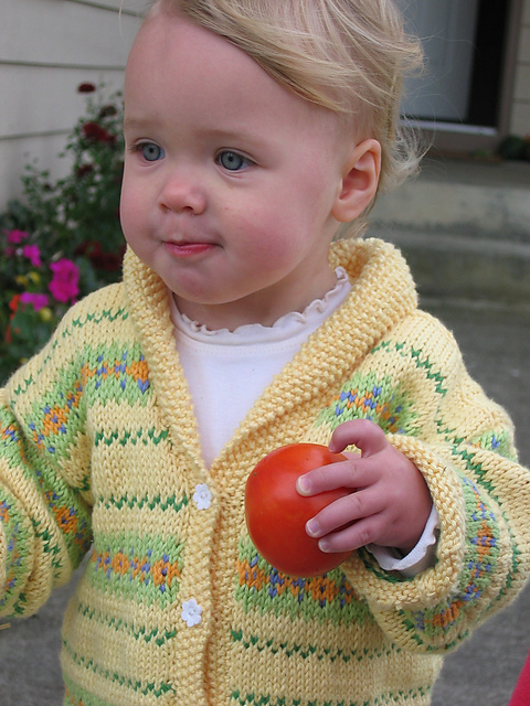 Shawl-Collared Sweater with Fair Isle Bands
