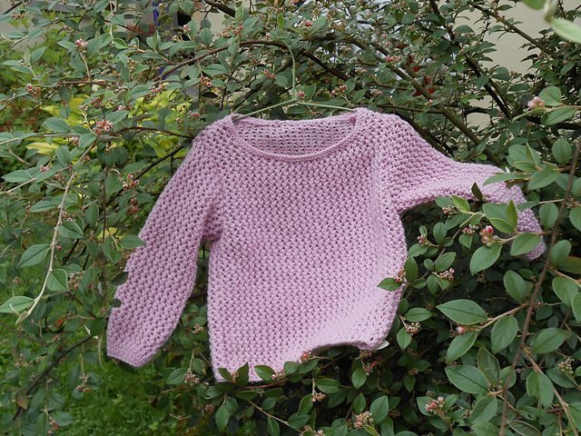 Pull - N° 085 - T12 - 447