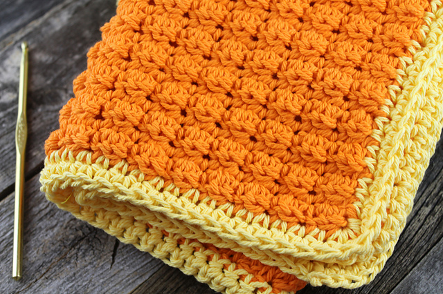 Orange Berry Dishcloth