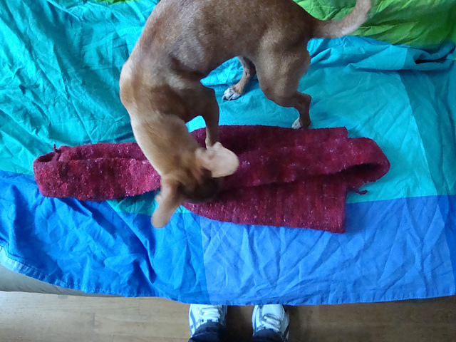 Yoga Mat Bag