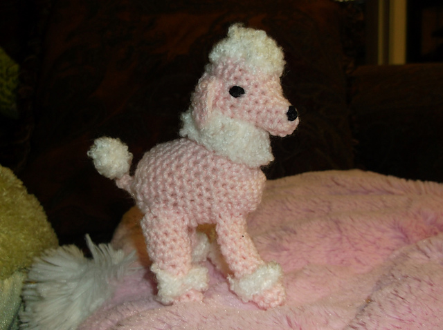 Little Palm Poodle