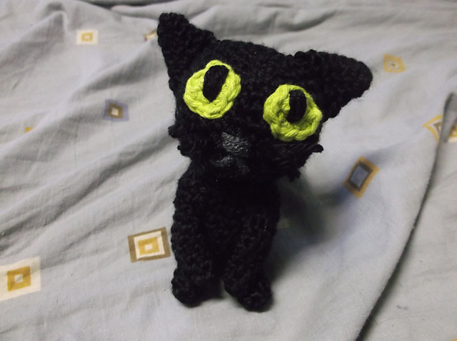 Big headed cat