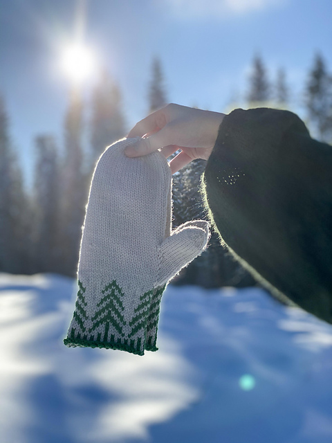Ut i skogen votter