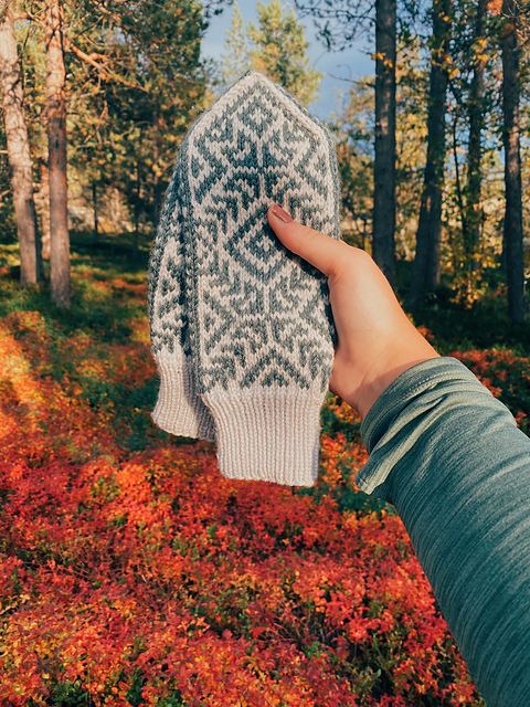 Bjørgvotter / Bjørg mittens