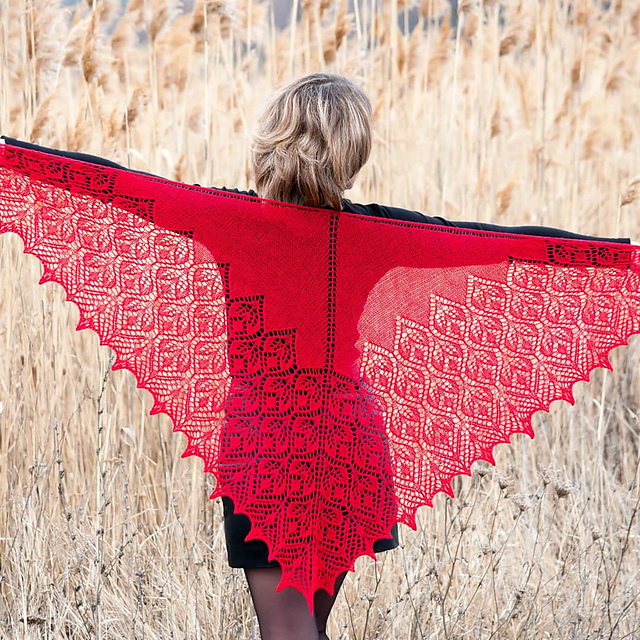 Ravelry: Cambria Shawl pattern by Venera Sharipova