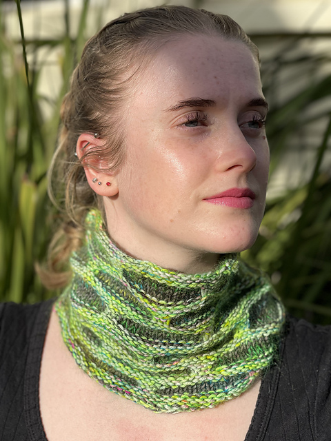 RayRay Cowl