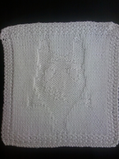 Frankenweenie Dishcloth